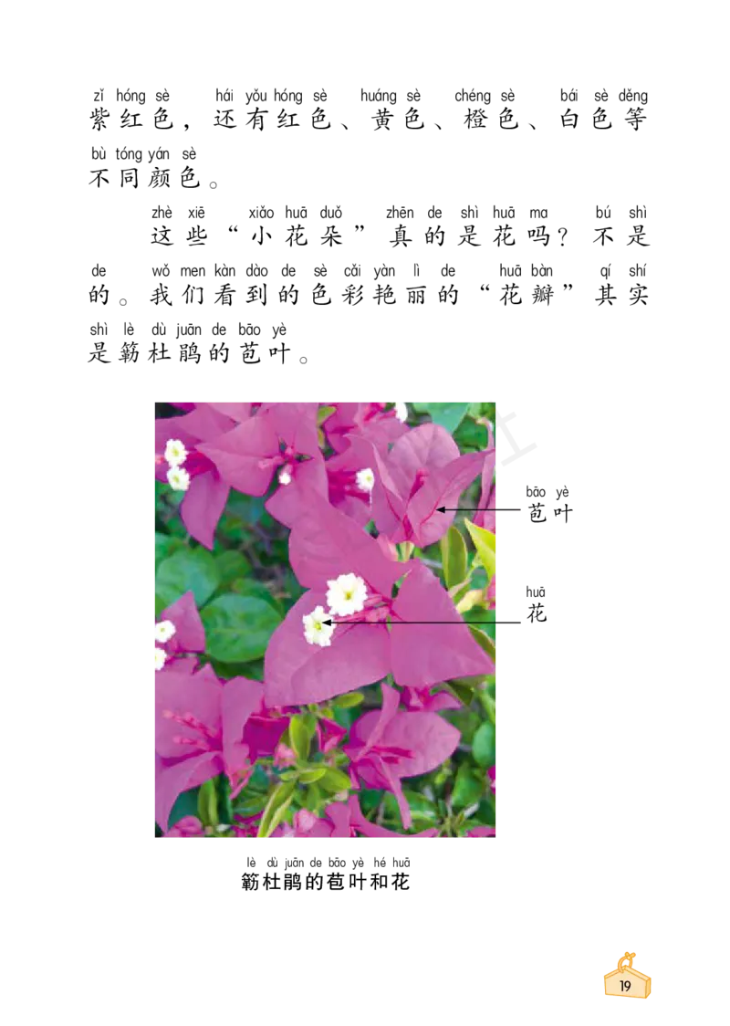 2022秋《知识与能力训练&middot;科学》一年级-内文_2024年人教版小学数学一二三四五六年级上册下册期中期末试a0747_小学全科《同步练习+精品试卷》打包下载（1-6年级单元月考期中期末试卷）