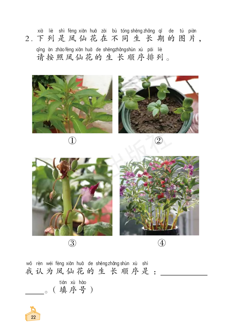 2022秋《知识与能力训练&middot;科学》一年级-内文_2024年人教版小学数学一二三四五六年级上册下册期中期末试a0747_小学全科《同步练习+精品试卷》打包下载（1-6年级单元月考期中期末试卷）