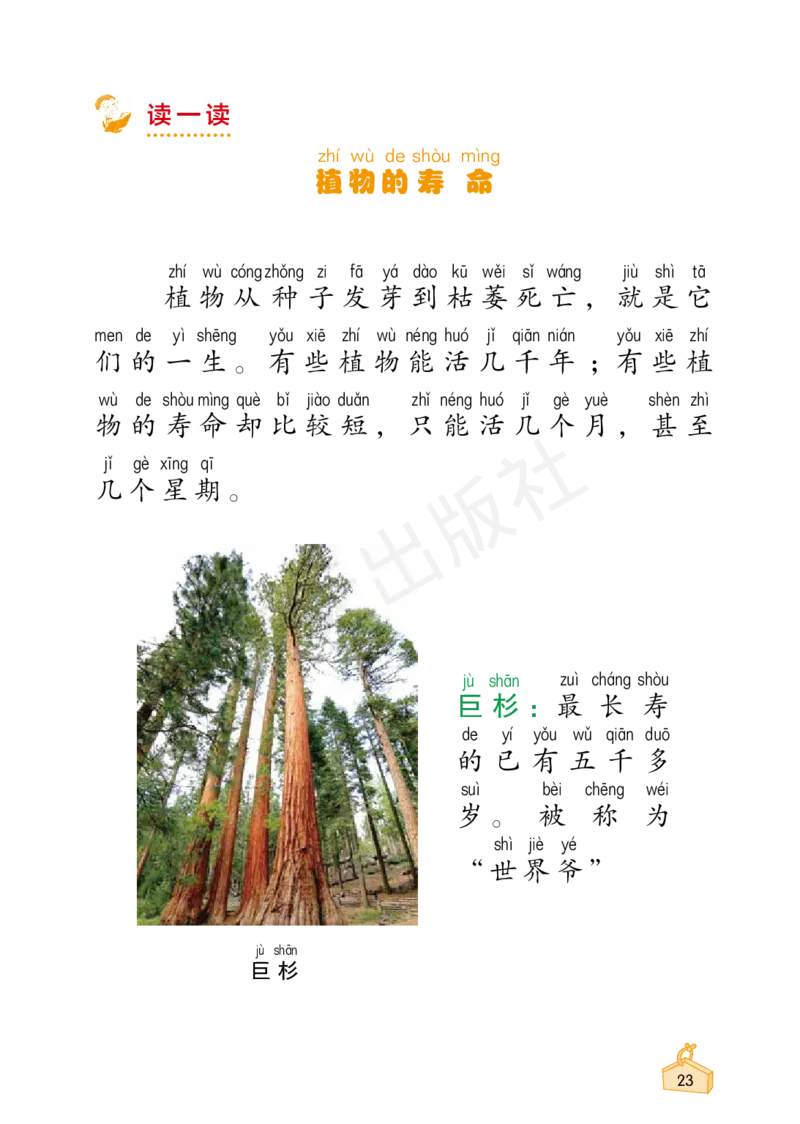 2022秋《知识与能力训练&middot;科学》一年级-内文_2024年人教版小学数学一二三四五六年级上册下册期中期末试a0747_小学全科《同步练习+精品试卷》打包下载（1-6年级单元月考期中期末试卷）