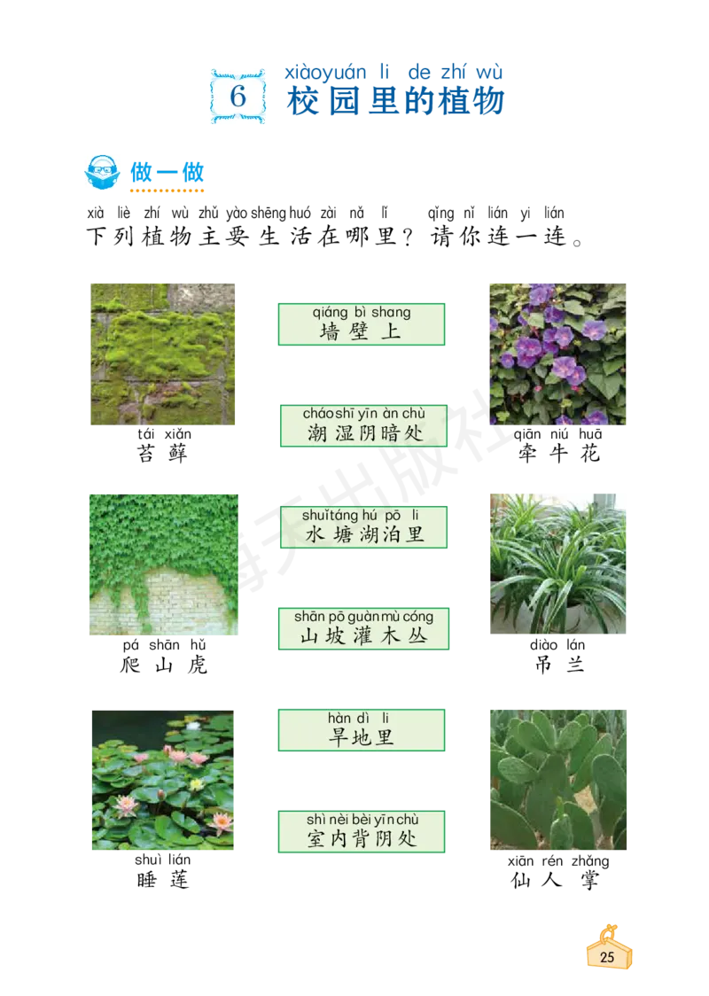 2022秋《知识与能力训练&middot;科学》一年级-内文_2024年人教版小学数学一二三四五六年级上册下册期中期末试a0747_小学全科《同步练习+精品试卷》打包下载（1-6年级单元月考期中期末试卷）