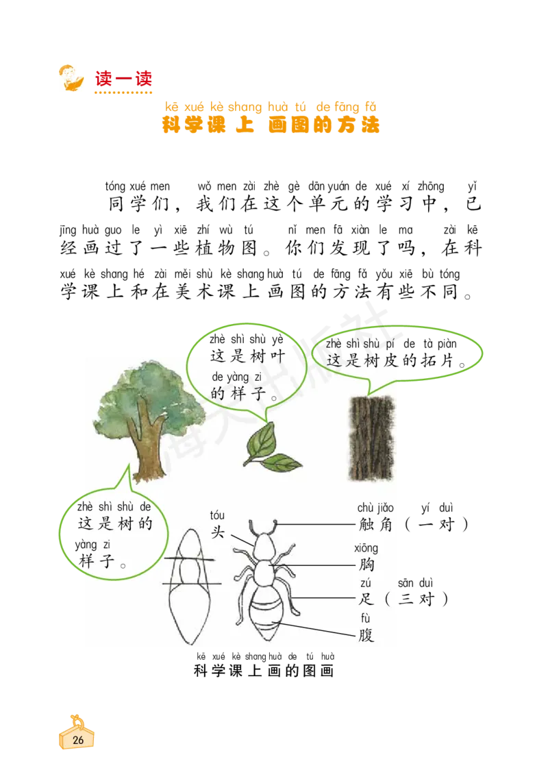 2022秋《知识与能力训练&middot;科学》一年级-内文_2024年人教版小学数学一二三四五六年级上册下册期中期末试a0747_小学全科《同步练习+精品试卷》打包下载（1-6年级单元月考期中期末试卷）