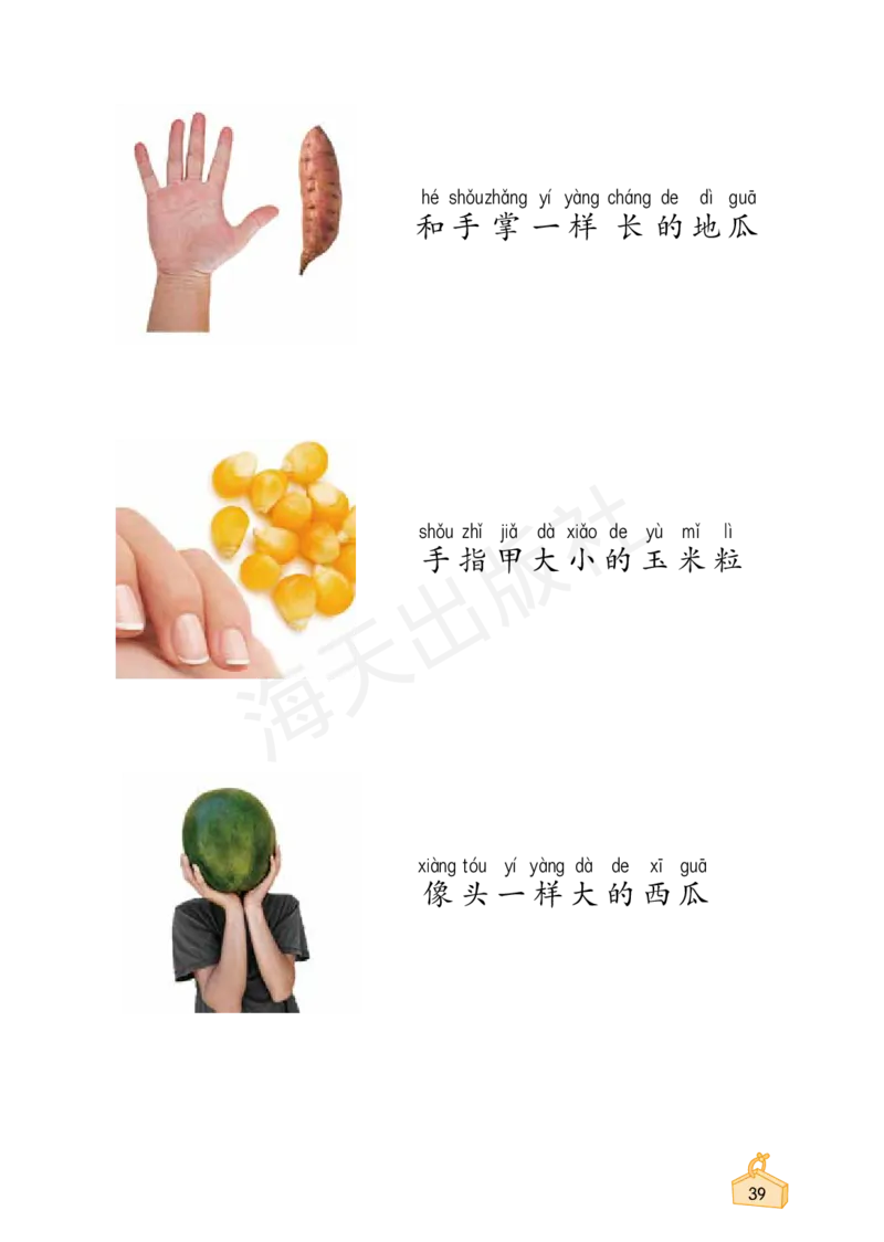 2022秋《知识与能力训练&middot;科学》一年级-内文_2024年人教版小学数学一二三四五六年级上册下册期中期末试a0747_小学全科《同步练习+精品试卷》打包下载（1-6年级单元月考期中期末试卷）