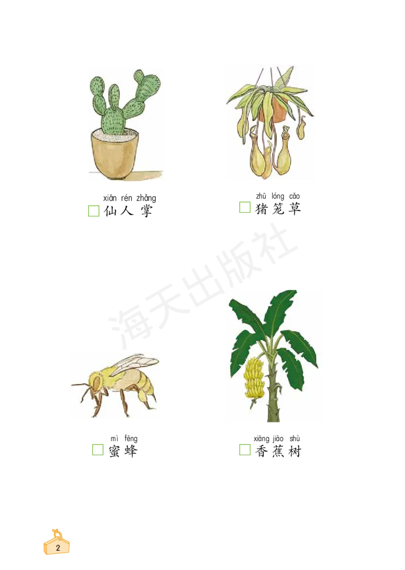 2022秋《知识与能力训练&middot;科学》一年级-内文_2024年人教版小学数学一二三四五六年级上册下册期中期末试a0747_小学全科《同步练习+精品试卷》打包下载（1-6年级单元月考期中期末试卷）