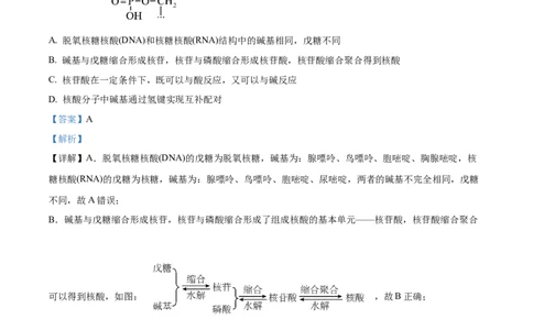 2024年高考化学试卷（湖南）（解析卷）_历年高考真题合集_化学历年高考真题_新&middot;Word版2008-2025&middot;高考化学真题_化学（按年份分类）2008-2025_2024&middot;高考化学真题