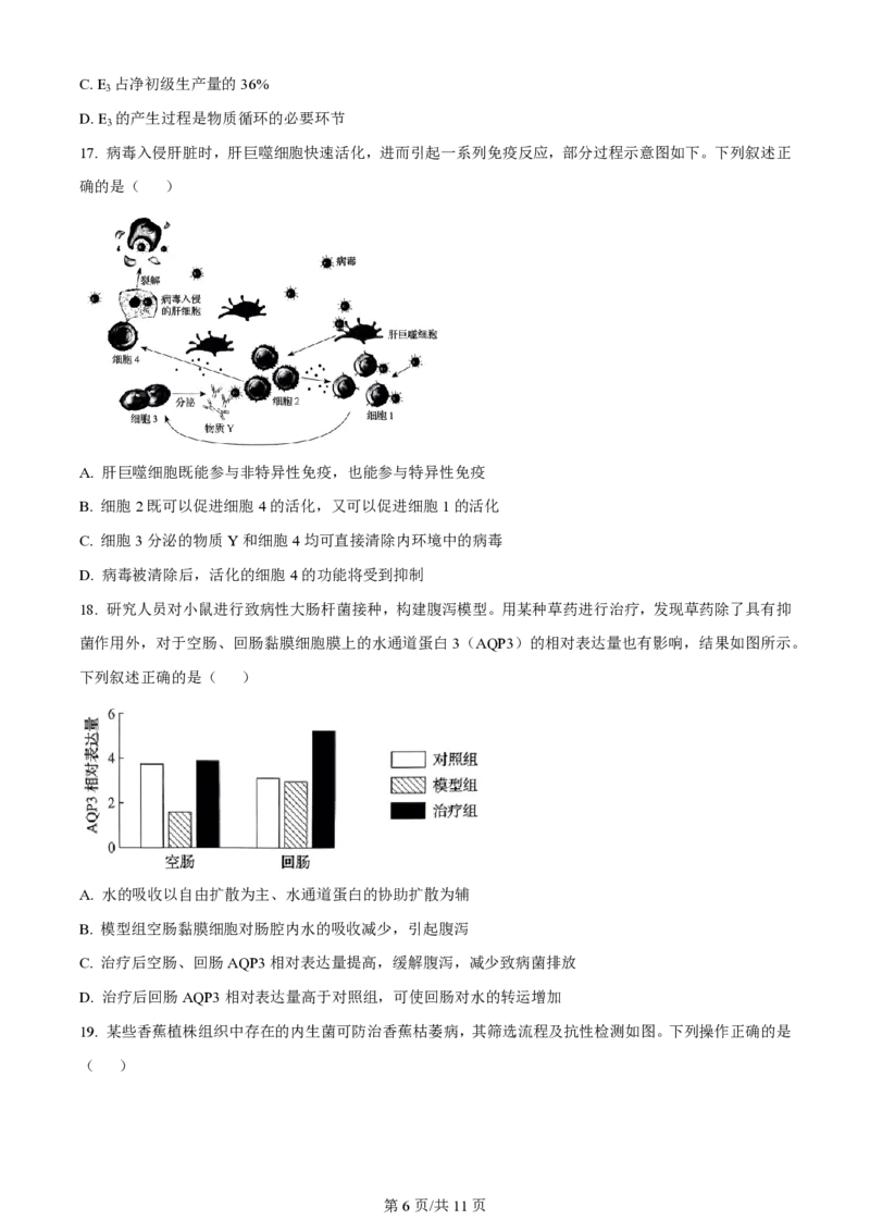 2024年高考生物试卷（辽宁）（空白卷）_生物历年高考真题_新&middot;PDF版2008-2025&middot;高考生物真题_生物（按年份分类）2008-2025_2024&middot;高考生物真题