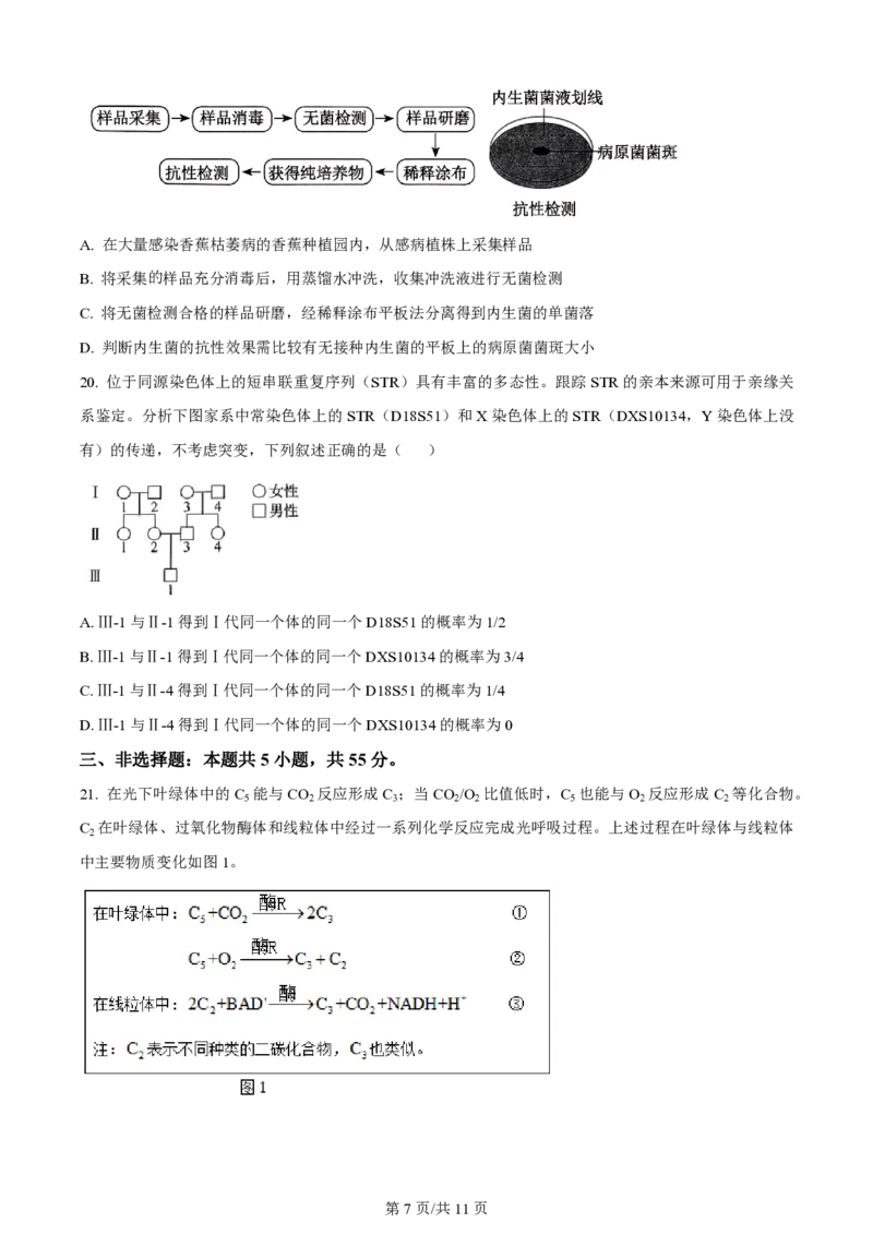 2024年高考生物试卷（辽宁）（空白卷）_生物历年高考真题_新&middot;PDF版2008-2025&middot;高考生物真题_生物（按年份分类）2008-2025_2024&middot;高考生物真题