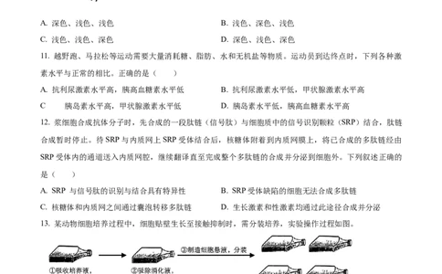 2024年高考生物试卷（浙江）（1月）（空白卷）_生物历年高考真题_新&middot;Word版2008-2025&middot;高考生物真题_生物（按年份分类）2008-2025_2024&middot;高考生物真题