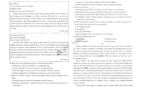 2025《一飞冲天&bull;高考抢分卷》英语_2025高中教辅（后续还会更新新习题试卷）_《一飞冲天高考抢分卷》2025版