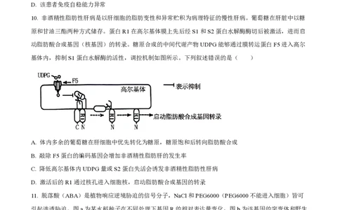 2024年高考生物试卷（湖南）（空白卷）_生物历年高考真题_新&middot;PDF版2008-2025&middot;高考生物真题_生物（按年份分类）2008-2025_2024&middot;高考生物真题