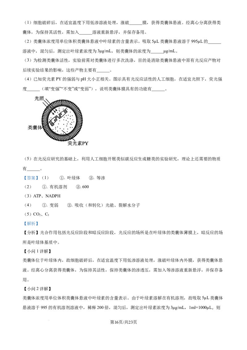 2025年高考生物试卷（江苏卷）（解析卷）_生物历年高考真题_新&middot;Word版2008-2025&middot;高考生物真题_生物（按年份分类）2008-2025_2025&middot;高考生物真题