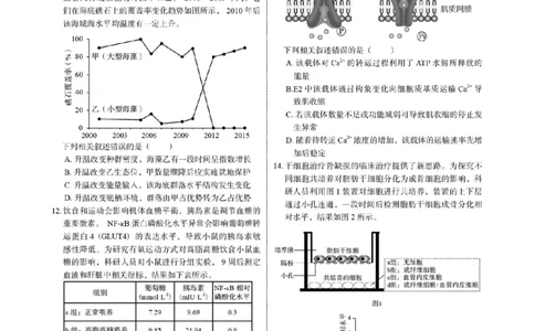 2023年高考生物试卷（福建）（答案卷）_生物历年高考真题_新&middot;Word版2008-2025&middot;高考生物真题_生物（按省份分类）2008-2025_2012-2024&middot;（福建）生物高考真题