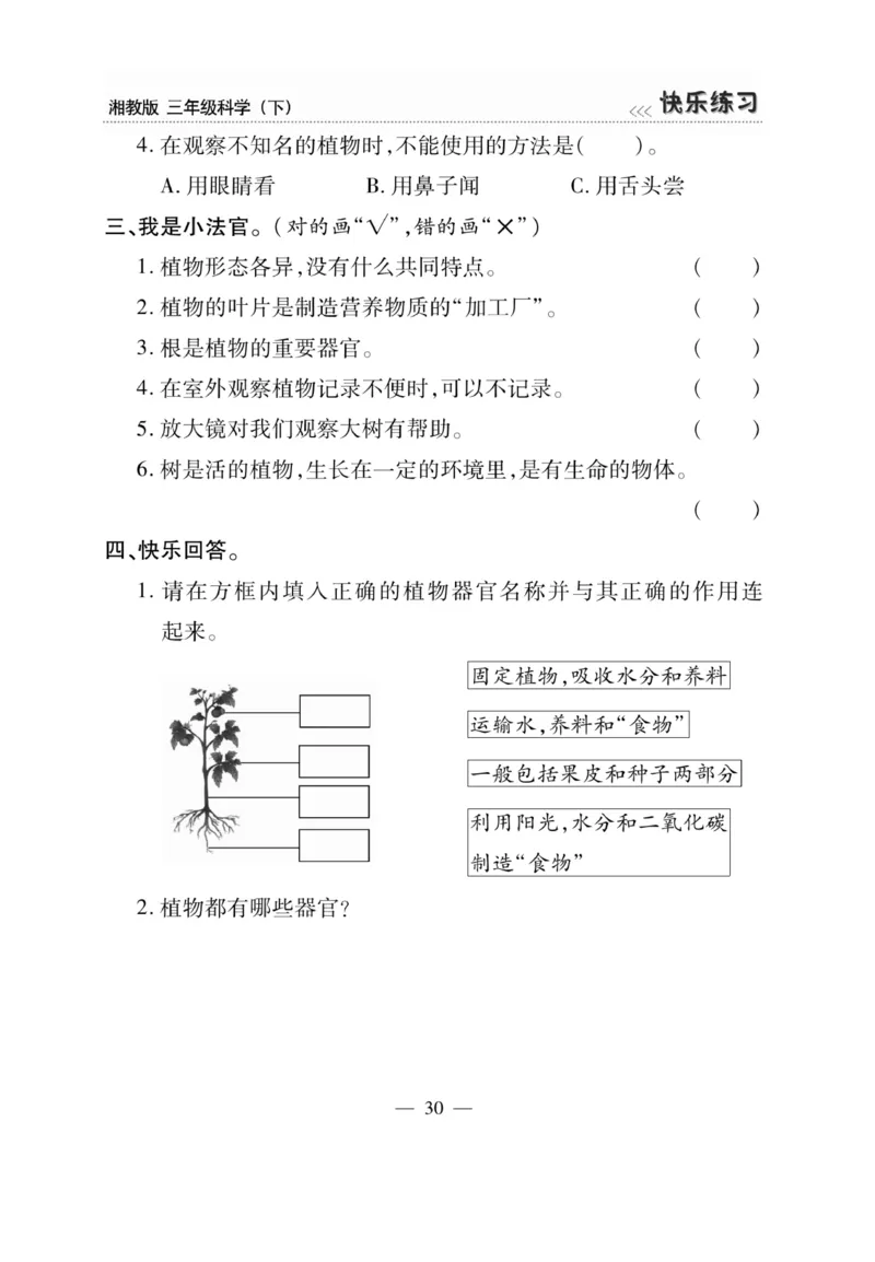 三（下）科学-湘科版快乐练习_三年级上下册资料_小学三年级学习资料-25年更新版_3-10、小学三年级科学下册_湘教版