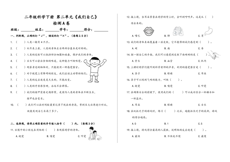 二下第二单元《我们自己》检测A卷_二年级上下册资料_小学二年级学习资料-25年更新版_2-10、小学二年级科学下册_教科版_单元测试卷