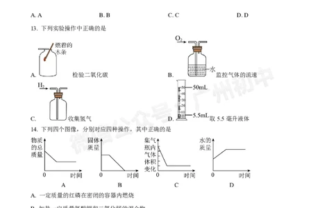 白云区华赋学校2024-2025学年九年级9月月考化学试题_广州九上月考+期中+期末+一模二模+中考真题_九上月考_初三上十月考