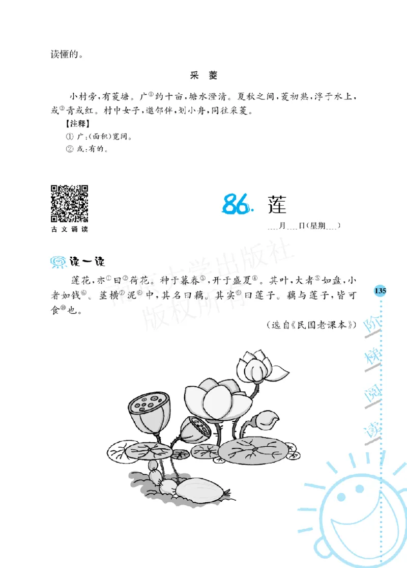 《阶梯阅读培优训练》语文3年级上册（RJ）_三年级上下册资料_小学三年级学习资料-25年更新版_3-01、小学三年级语文上册_3-1-2、练习题、作业、试题、试卷_电子册类