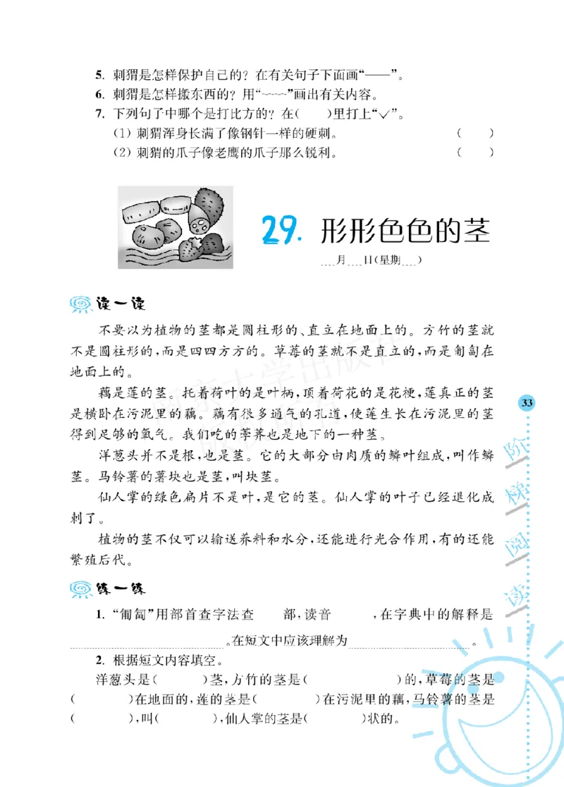《阶梯阅读培优训练》语文3年级上册（RJ）_三年级上下册资料_小学三年级学习资料-25年更新版_3-01、小学三年级语文上册_3-1-2、练习题、作业、试题、试卷_电子册类