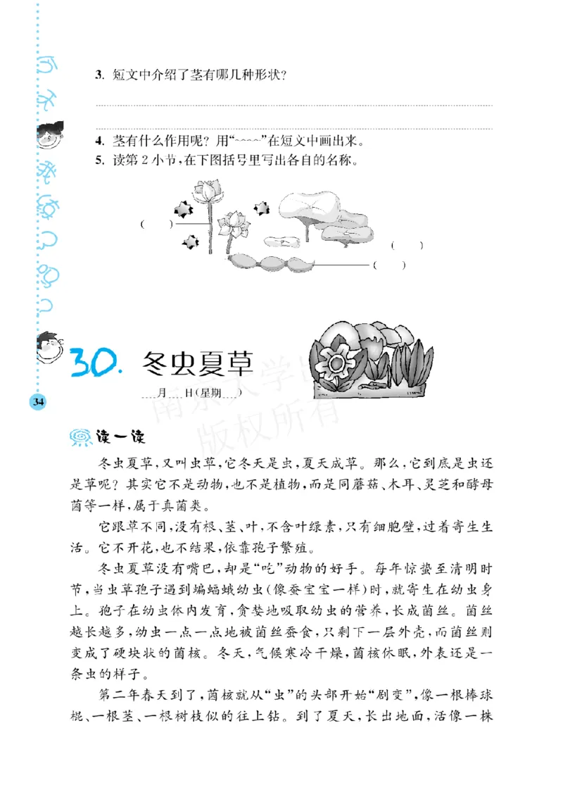 《阶梯阅读培优训练》语文3年级上册（RJ）_三年级上下册资料_小学三年级学习资料-25年更新版_3-01、小学三年级语文上册_3-1-2、练习题、作业、试题、试卷_电子册类