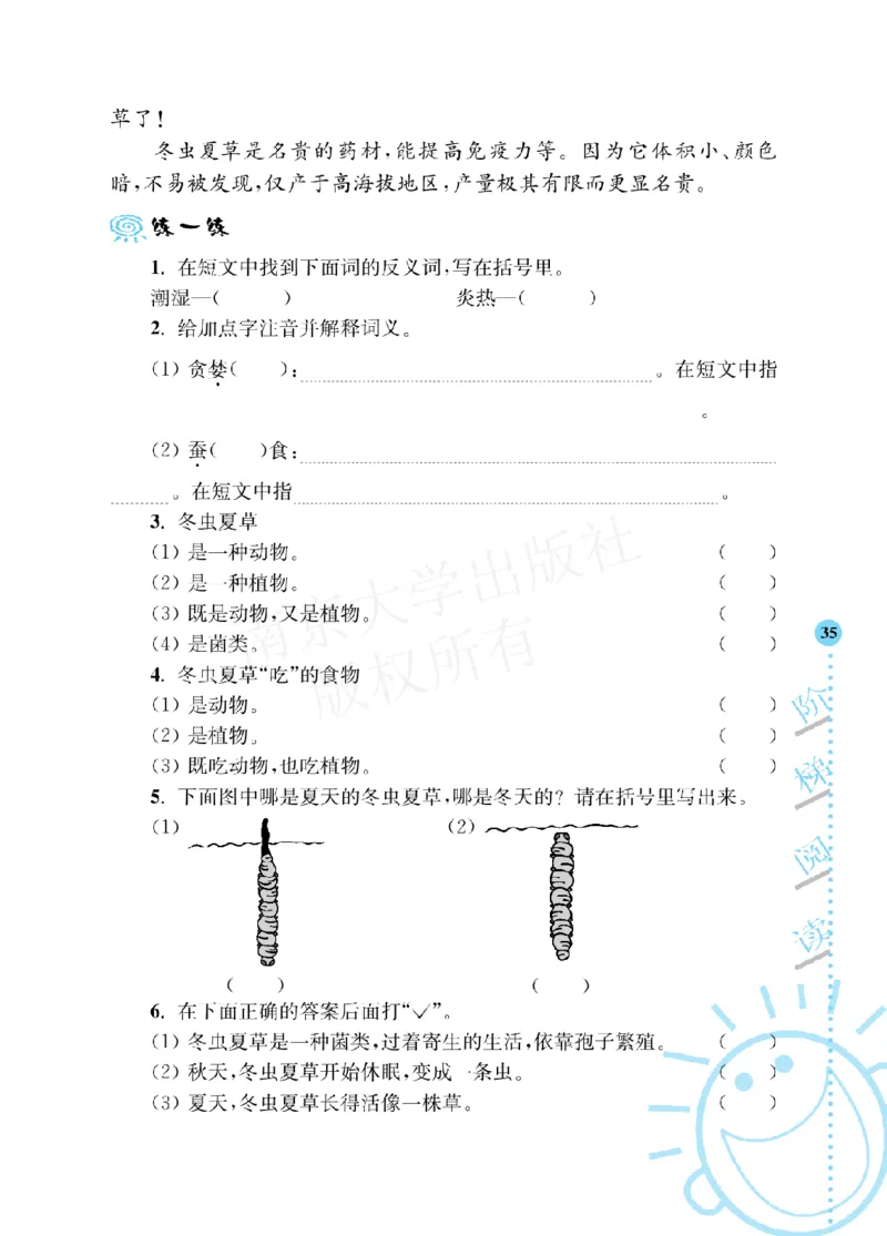《阶梯阅读培优训练》语文3年级上册（RJ）_三年级上下册资料_小学三年级学习资料-25年更新版_3-01、小学三年级语文上册_3-1-2、练习题、作业、试题、试卷_电子册类