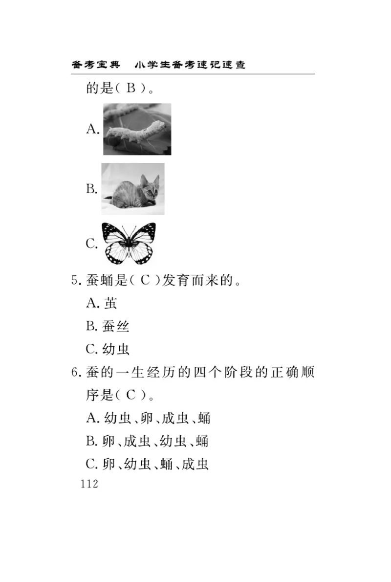 《速记速查》科学3年级下册（教科版）_三年级上下册资料_小学三年级学习资料-25年更新版_3-10、小学三年级科学下册_教科版_电子册类