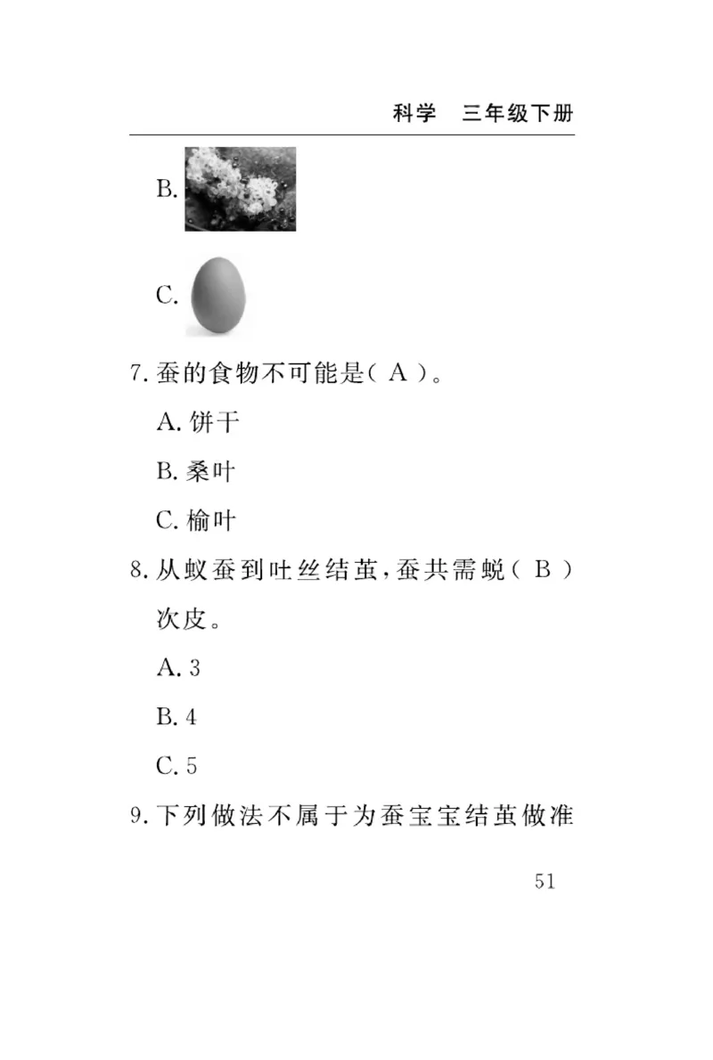 《速记速查》科学3年级下册（教科版）_三年级上下册资料_小学三年级学习资料-25年更新版_3-10、小学三年级科学下册_教科版_电子册类