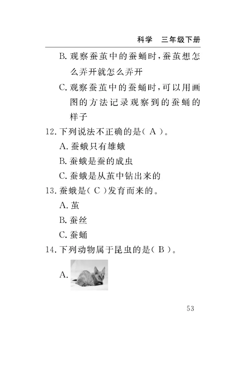 《速记速查》科学3年级下册（教科版）_三年级上下册资料_小学三年级学习资料-25年更新版_3-10、小学三年级科学下册_教科版_电子册类