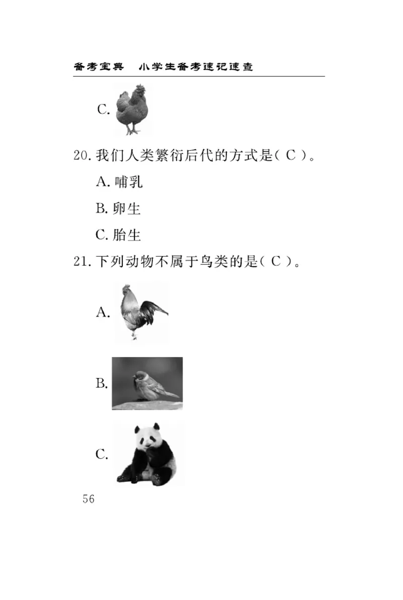 《速记速查》科学3年级下册（教科版）_三年级上下册资料_小学三年级学习资料-25年更新版_3-10、小学三年级科学下册_教科版_电子册类