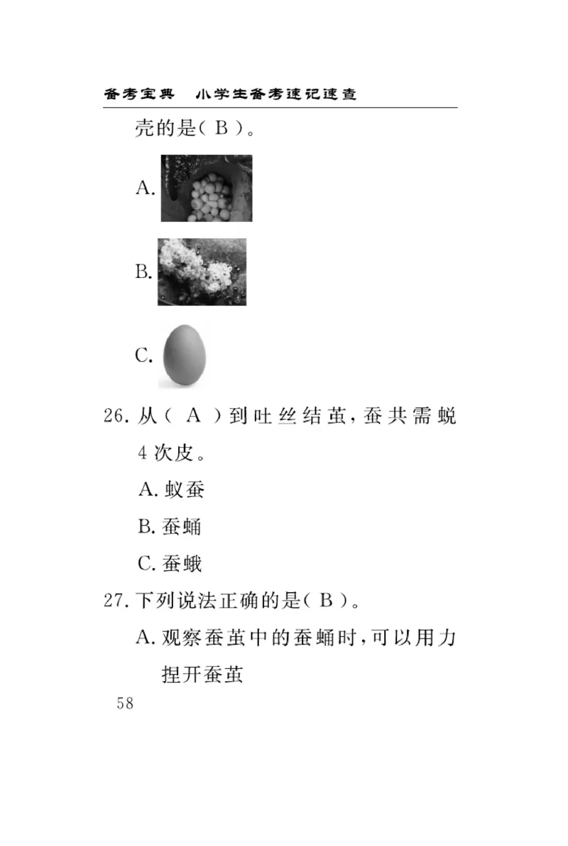 《速记速查》科学3年级下册（教科版）_三年级上下册资料_小学三年级学习资料-25年更新版_3-10、小学三年级科学下册_教科版_电子册类