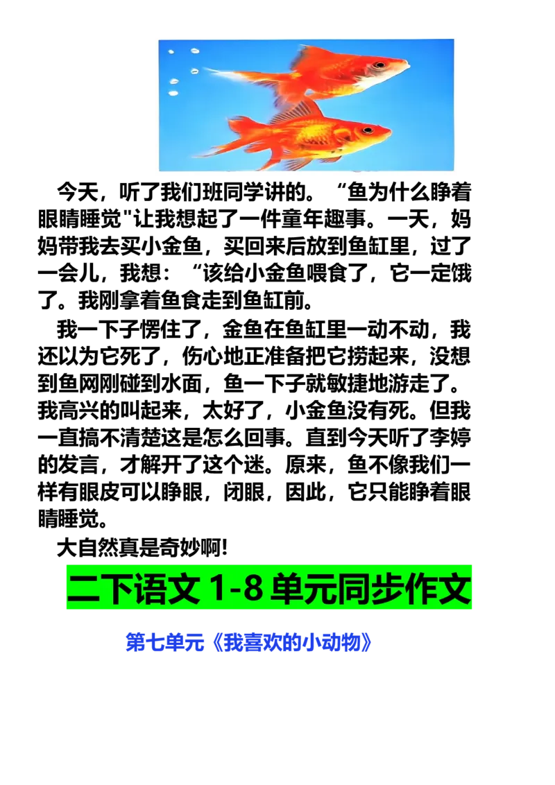 二年级下册同步作文范文_二年级上下册资料_小学二年级学习资料-25年更新版_2-02、小学二年级语文下册_2-2-2、练习题、作业、试题、试卷_专项练习_看图写话作文类