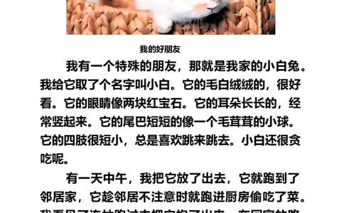 二年级下册同步作文范文_二年级上下册资料_小学二年级学习资料-25年更新版_2-02、小学二年级语文下册_2-2-2、练习题、作业、试题、试卷_专项练习_看图写话作文类