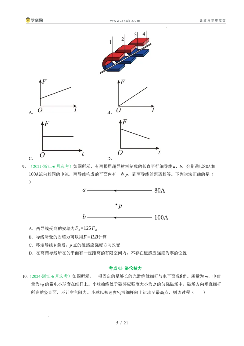 专题10磁场（浙江专用）（原卷版）_浙江物理高考真题分类汇编（2021-2025）_专题10磁场（浙江专用）-五年（2021-2025）高考物理真题分类汇编