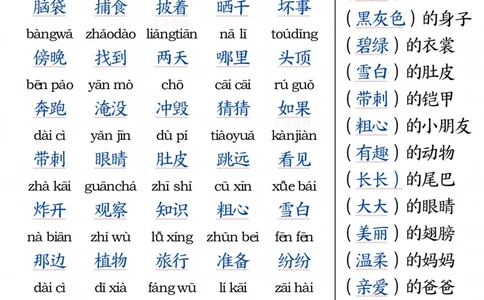 二版二年级上册语文期中知识要点1(1)_二年级上下册资料_二年级上册小红书同款资料_二年级