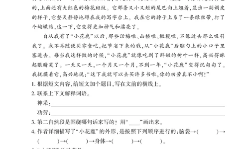 三年级语文上册《寒假作业》_三年级上下册资料_小学三年级学习资料-25年更新版_3-12、寒暑假大礼包_寒假
