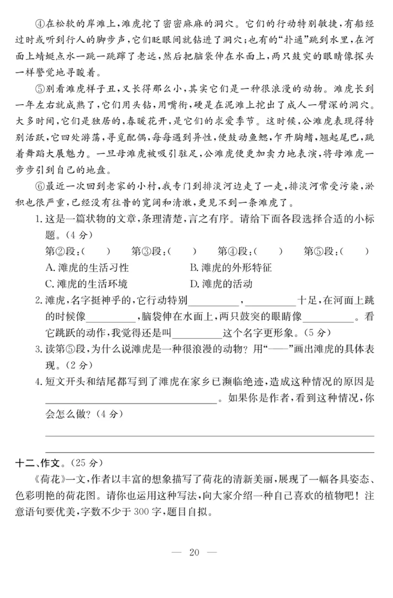 《课程探究大试卷》语文3年级下册（RJ）_三年级上下册资料_小学三年级学习资料-25年更新版_3-02、小学三年级语文下册_3-2-2、练习题、作业、试题、试卷_电子册类