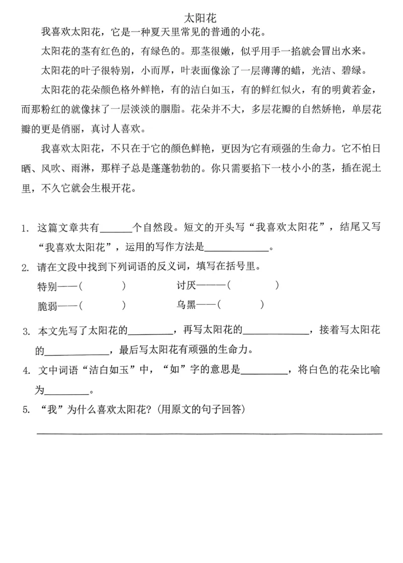 三上语文课外阅读_三年级上下册资料_三年级下册小红书同款资料_三下语文