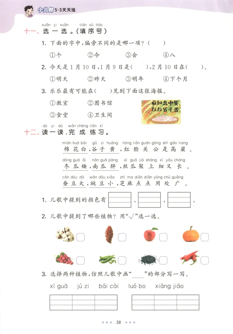 一年级语文上册人教版25秋《53天天练》_25秋小学语数英习题试卷_语文_1-6年级语文上册人教版25秋《53天天练》_一年级语文上册人教版25秋《53天天练》