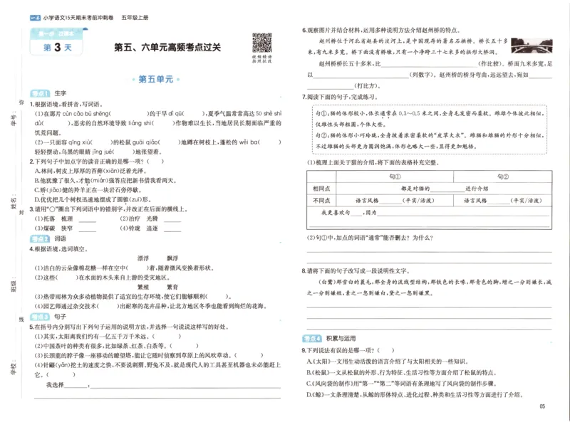 25秋《一本15天期末考前冲刺卷》语文5上_25秋小学语数英习题试卷_语文_❤25秋1-6《一本15天期末考前冲刺卷》语文-人教版(1)