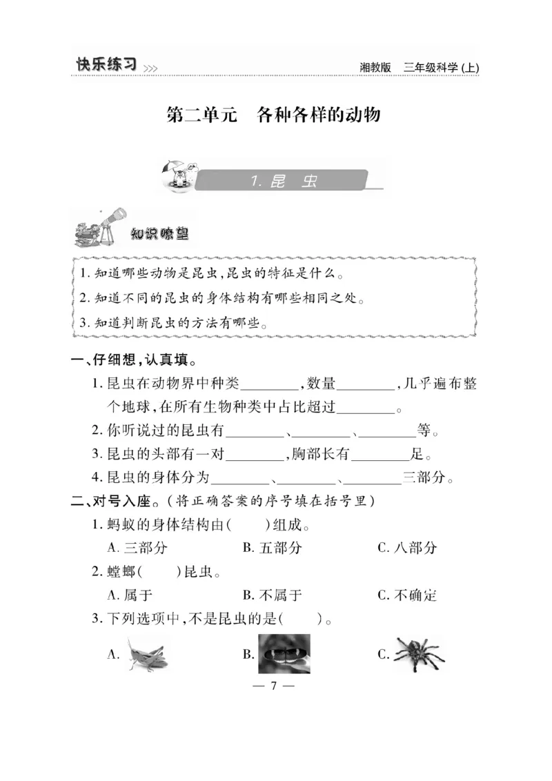 三（上）科学-湘教版快乐练习_三年级上下册资料_小学三年级学习资料-25年更新版_3-09、小学三年级科学上册_湘科版