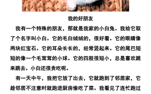 二年级下册语文1-8单元看图写作范文梳理_二年级上下册资料_小学二年级学习资料-25年更新版_2-02、小学二年级语文下册_2-2-2、练习题、作业、试题、试卷_专项练习_看图写话作文类