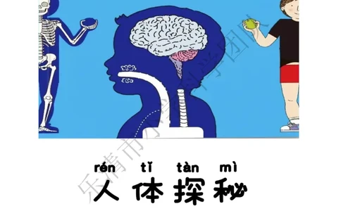 《素养作业》科学2年级下册（教科版）_二年级上下册资料_小学二年级学习资料-25年更新版_2-10、小学二年级科学下册_教科版_电子册类
