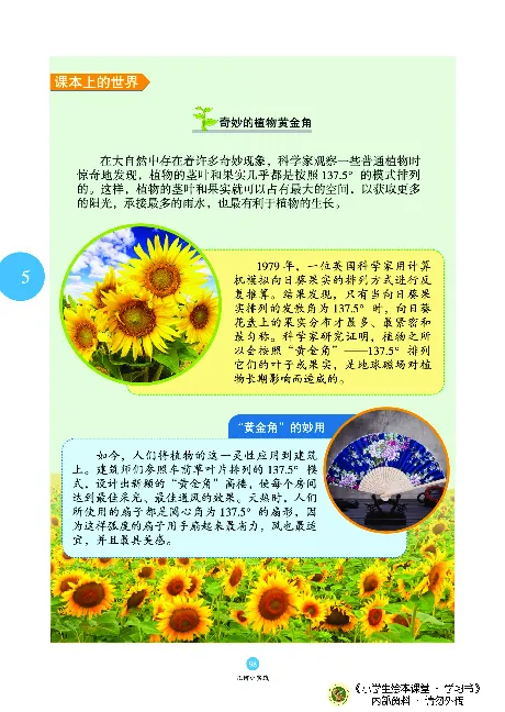 《绘本课堂》二（上）沪教数学内部资料A_二年级上下册资料_小学二年级学习资料-25年更新版_2-03、小学二年级数学上册_2-3-2、练习题、作业、试题、试卷_沪教版_电子册类