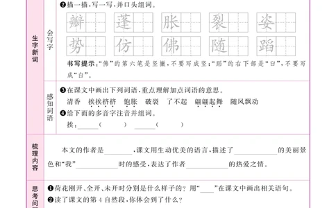 《阳光同学》预习单-语文3年级下册（RJ）_三年级上下册资料_小学三年级学习资料-25年更新版_3-02、小学三年级语文下册_3-2-2、练习题、作业、试题、试卷_电子册类