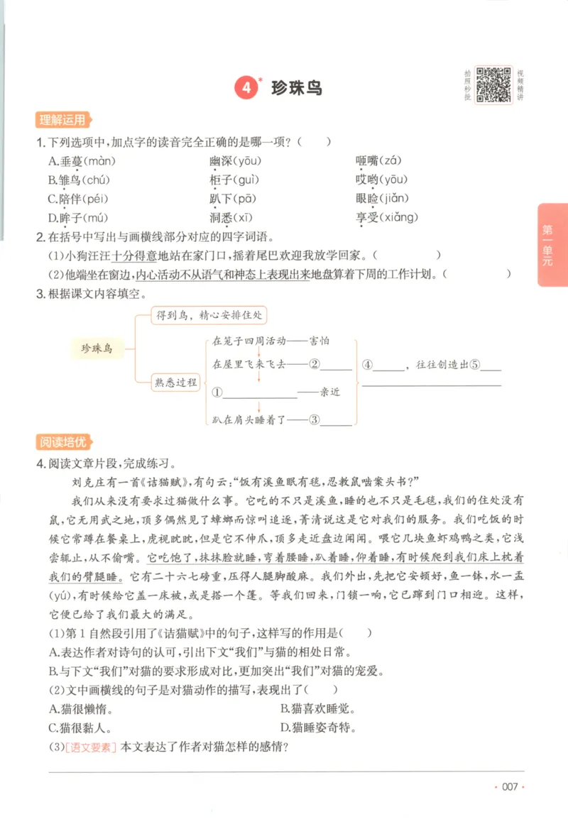 2025秋一本课后小练习语文5上_25秋小学语数英习题试卷_语文_一本《小学语文课后小练习》25秋
