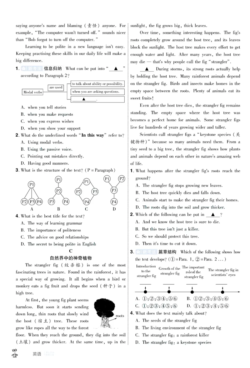2026《中考英语45套》新疆题型小卷答案_45套中招_2026《中考英语45套》新疆