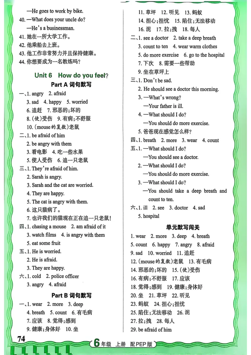 25秋《王朝霞活页默写》英语人教版6上_25秋小学语数英习题试卷_英语_人教版_25秋《王朝霞活页默写》3-6年级上册人教版英语