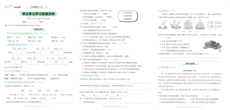 25秋《黄冈小状元达标卷》3年级上册语文广东版_25秋小学语数英习题试卷_语文_25秋黄冈小状元达标卷语文广东专版1-6上
