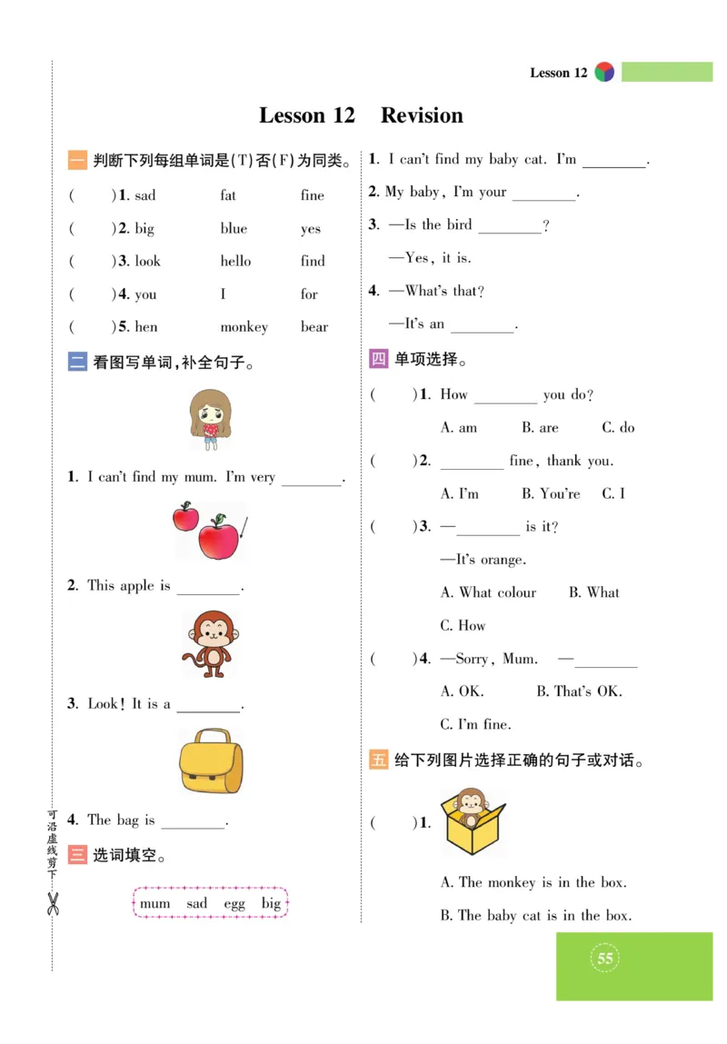 《智能训练》课时-英语3年级上册（KP）_三年级上下册资料_小学三年级学习资料-25年更新版_3-05、小学三年级英语上册_3-5-1、知识点、测试卷、电子书_科普版