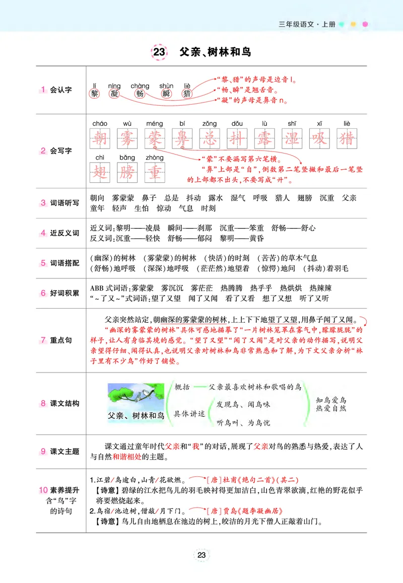 三年级状元语文笔记（背记清单）_三年级上下册资料_三年级上语数英上下册学习资料_3-8-1、小学三年级语文上册_统编、部编、人教（语文全国统一只有一个版）_2024新增