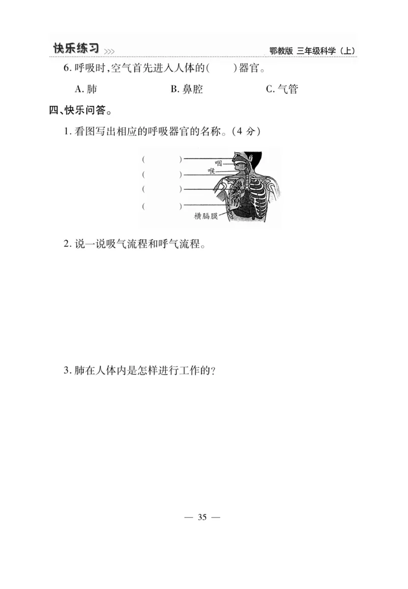 三（上）科学-鄂教版快乐练习_三年级上下册资料_小学三年级学习资料-25年更新版_3-09、小学三年级科学上册_人教鄂教版