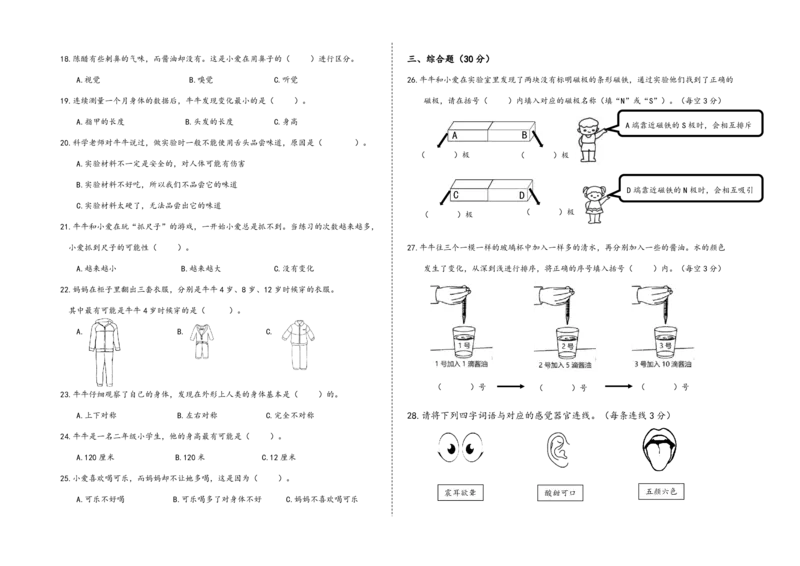 二下期末检测_二年级上下册资料_小学二年级学习资料-25年更新版_2-10、小学二年级科学下册_教科版_期末测试卷