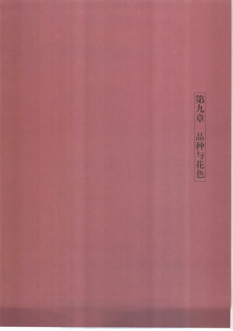 五年级数学上册人教版25秋《阳光同学期末复习15天冲刺100分》_25秋《阳光同学期末复习》_数学人教123456_25秋阳光同学期末复习15天冲刺100分人教数学5上